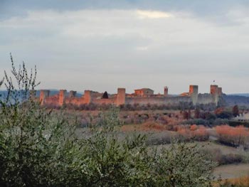 Yoga in the Heart of Tuscany